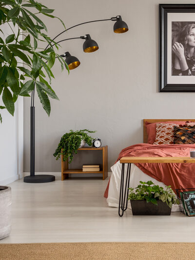 Bedroom Houseplants and unique lamp